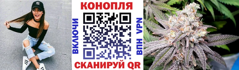 Бошки марихуана индика Зеленодольск